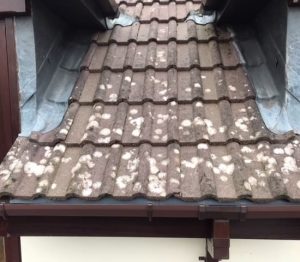 Roof tiles with significant lichen or efflorescence buildup
