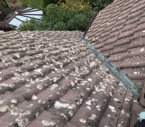 Lichen growth on tiled roof before cleaning in Ringwood, Dorset